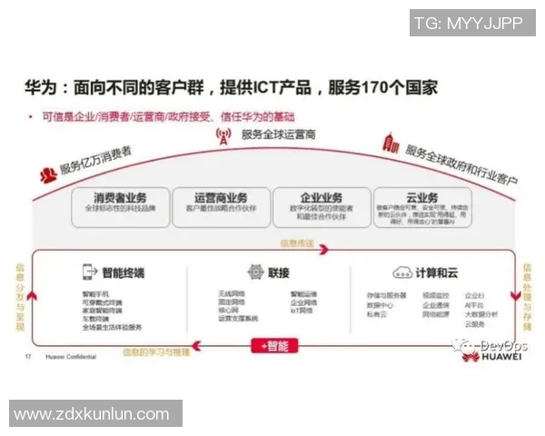 深入分析成都排球队的运营策略与市场推广模式